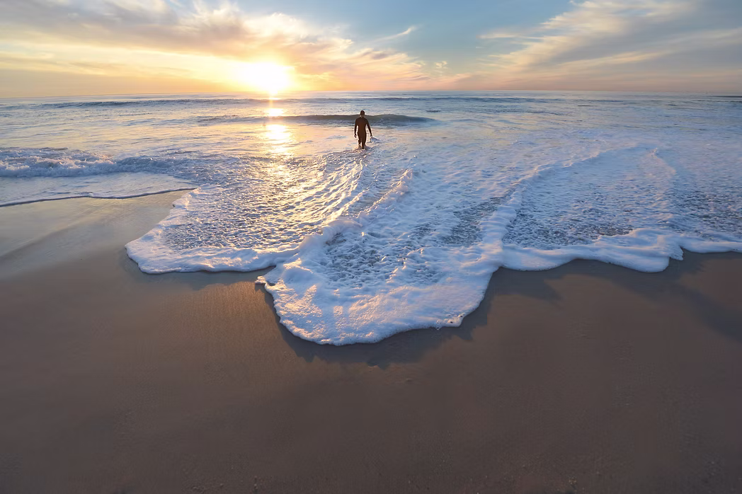 Image by frank mckenna