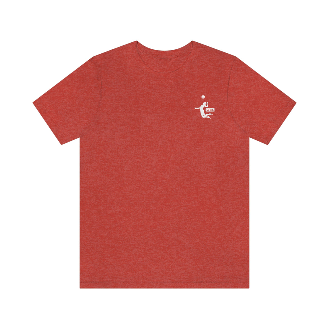 San Diego Beach Improvement Group T-shirt